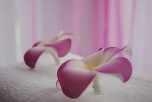 Lila blommor på bädd